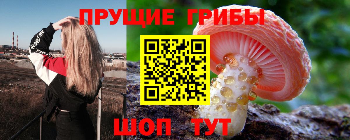 Уссурийск  Псилоцибиновые грибы мицелий  Вход с VPN 